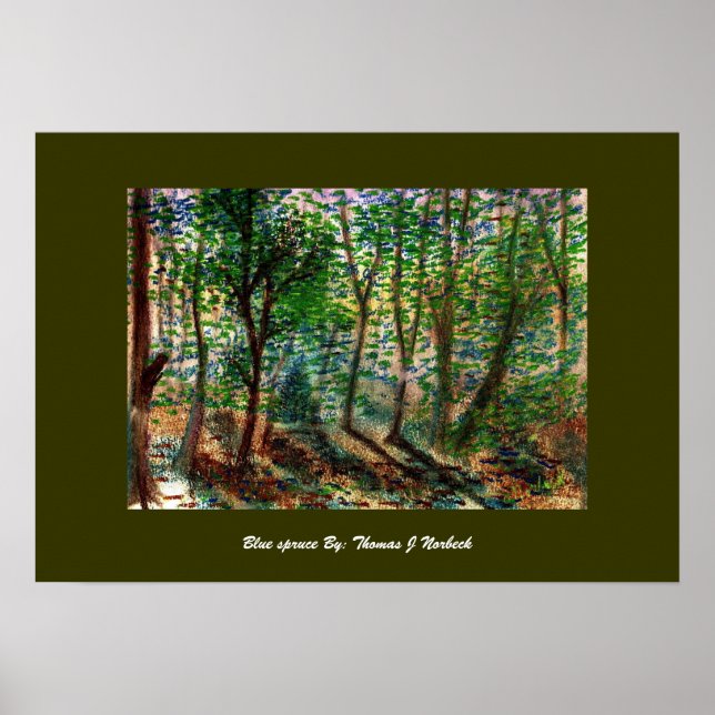 blue spruce, Blue spruce By: Thomas J Norbeck Poster (Front)