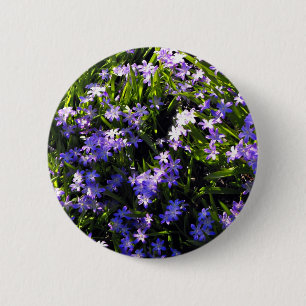 Blue Squill Spring Flowers 6 Cm Round Badge