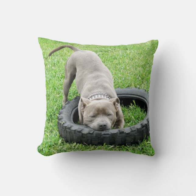 Blue Staffordshire Bull Terrier Play Time. Cushion (Front)