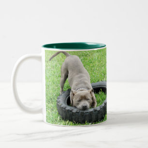 Blue Staffordshire Bull Terrier Play Time, Two-Tone Coffee Mug