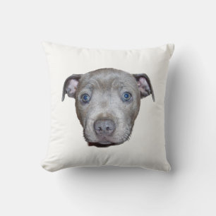 Blue Staffordshire Bull Terrier Puppy Face, White Cushion