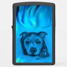Blue Staffy Puppy