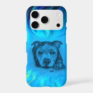 Blue Staffy Puppy