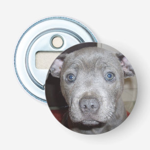 Blue Staffy Puppy Face, Magnetic Bottle Opener. Opener
