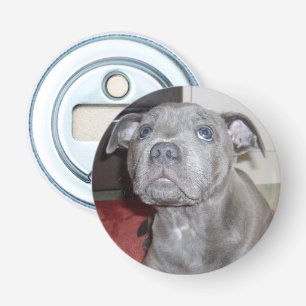 Blue Staffy Puppy Love Eyes, Bottle Opener. Opener