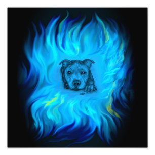 Blue Staffy Puppy Photo Print