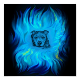Blue Staffy Puppy Poster