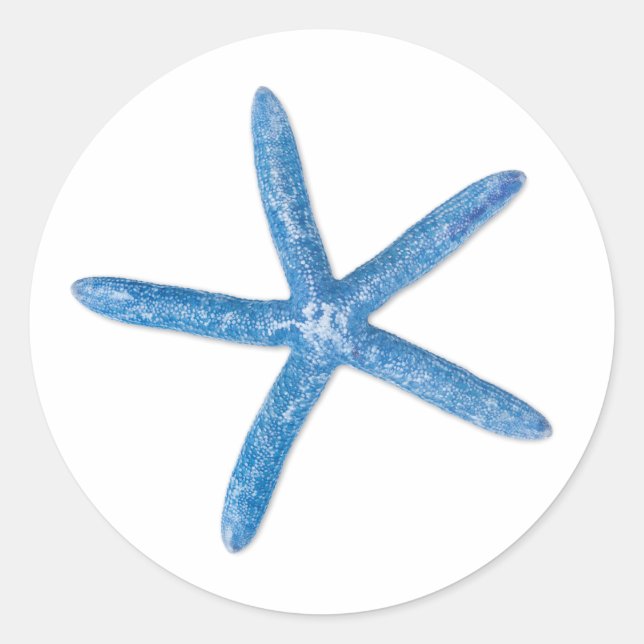 Blue Starfish Classic Round Sticker (Front)