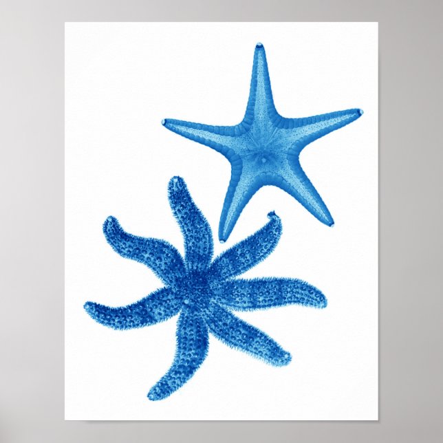 Blue Starfish no. 5 beach wall decor (Front)