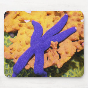 Blue Starfish On A Mousepad