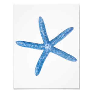 Blue Starfish Photo Print