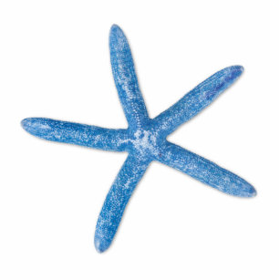 Blue Starfish Standing Photo Sculpture