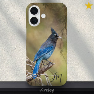Blue Stellar's Jay Bird Painting Custom Name iPhone 16 Case