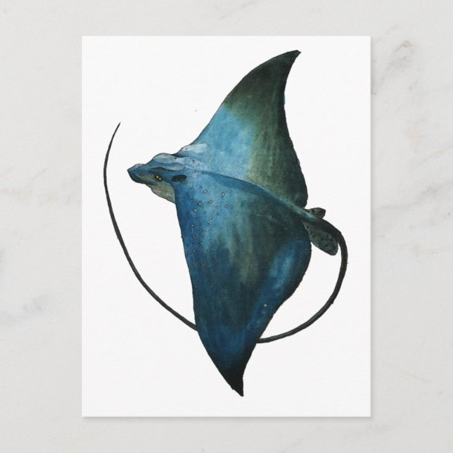 Blue Stingray Illustration Postcard (Front)
