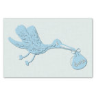 Blue Stork Delivering Boy