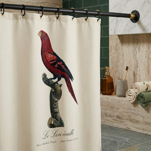 Blue-Streaked Lory, Trichoglossus reticulatus Shower Curtain