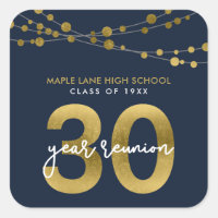 Blue Strings of Lights 30 Year Class Reunion