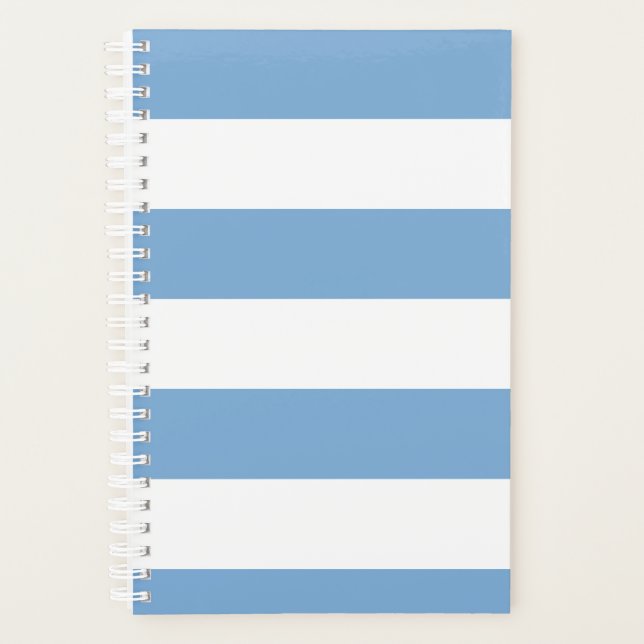 Blue Stripe Planner (Front)