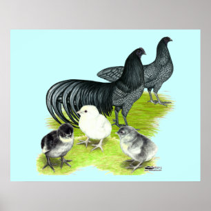 Blue Sumatra Family Poster