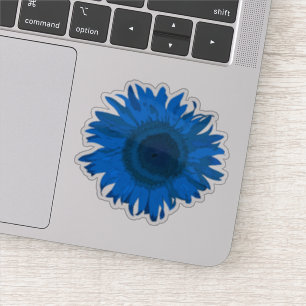 Blue Sunflower Blossom
