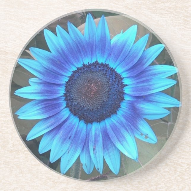 Blue Sunflower Coaster (Front)