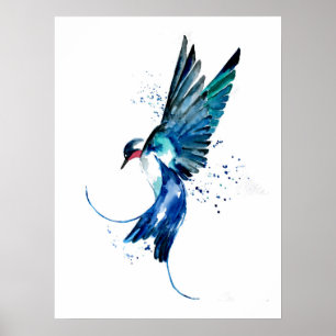 Blue Swallow Bird Poster
