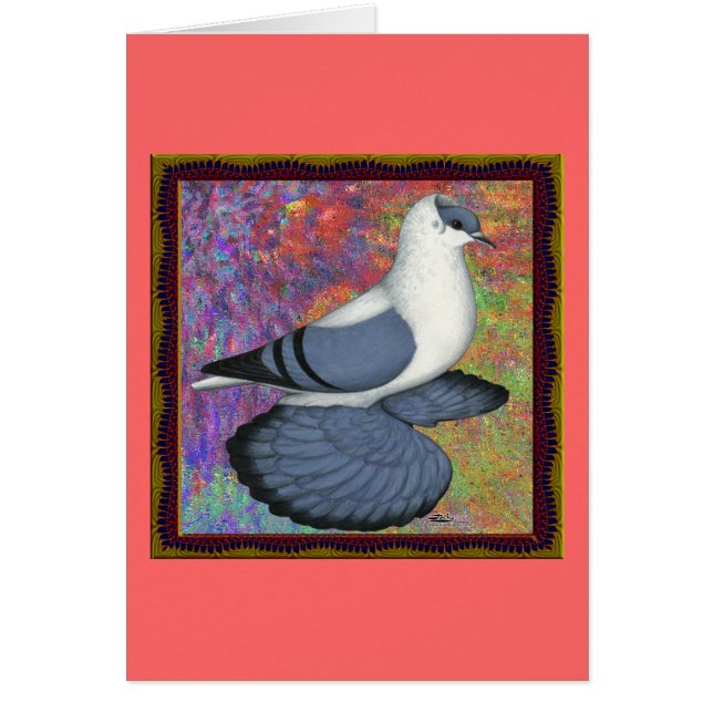 Blue Swallow Pigeon Framed (Front)