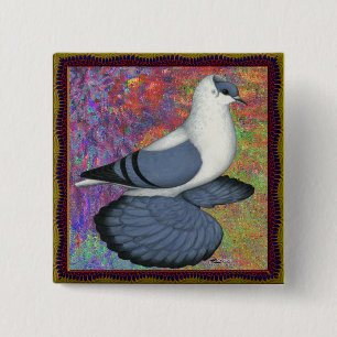 Blue Swallow Pigeon Framed 15 Cm Square Badge