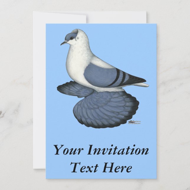 Blue Swallow Pigeon Invitation (Front)