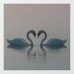 Blue Swans Must Be Love