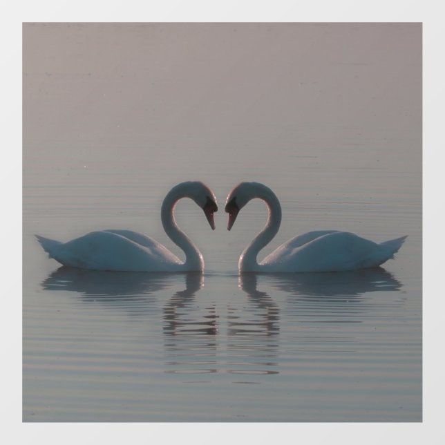 Blue Swans Must Be Love (Sheet)
