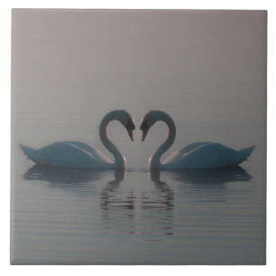 Blue Swans Must Be Love Ceramic Tile