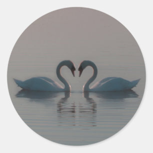 Blue Swans Must Be Love Classic Round Sticker