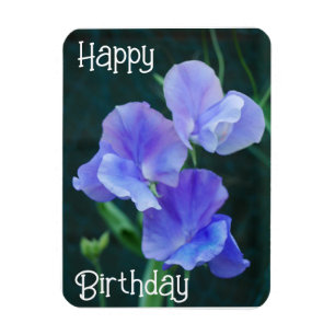 Blue Sweet Pea Flowers Birthday Magnet