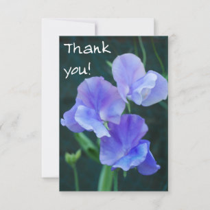 Blue Sweet Pea Flowers Thank You Card