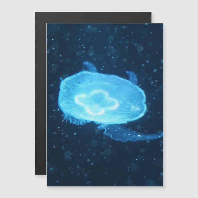 Blue Swimming Jellyfish (Front/Back)
