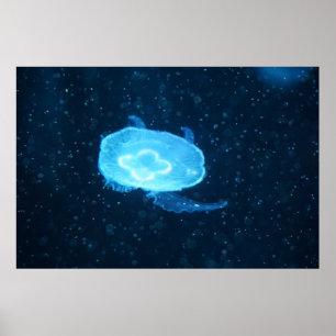 Blue Swimming Jellyfish Poster