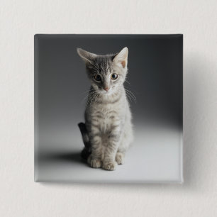 Blue Tabby Kitten 15 Cm Square Badge