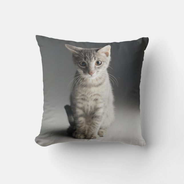 Blue Tabby Kitten Cushion (Front)