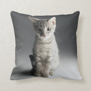 Blue Tabby Kitten Cushion
