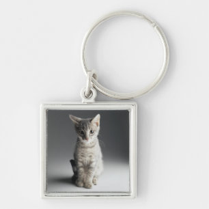 Blue Tabby Kitten Key Ring