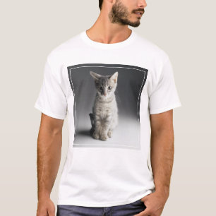Blue Tabby Kitten T-Shirt