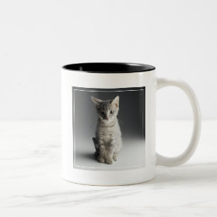 Blue Tabby Kitten Two-Tone Coffee Mug