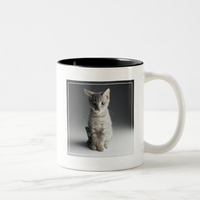 Blue Tabby Kitten Two-Tone Coffee Mug (Right)