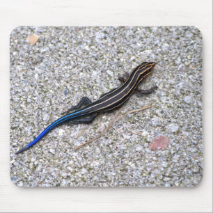 Blue Tailed Skink mousepad
