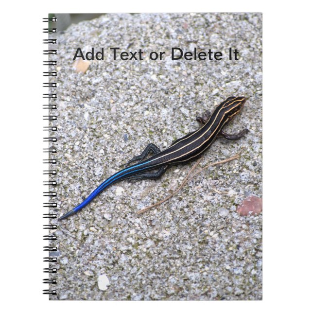 Blue Tailed Skink notebook (Front)