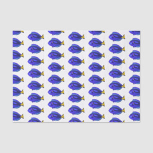 Blue tang fish cartoon illustration tissue paper
