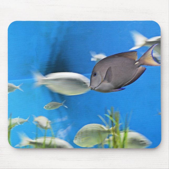 Blue Tang Fish Mousepad (Front)
