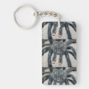 blue tarantula key ring