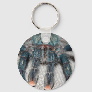 blue tarantula key ring